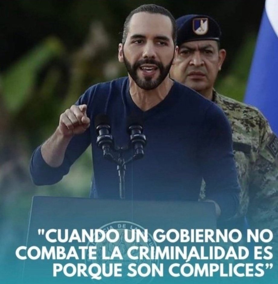 Perro Desobediente 🇲🇽 tweet media