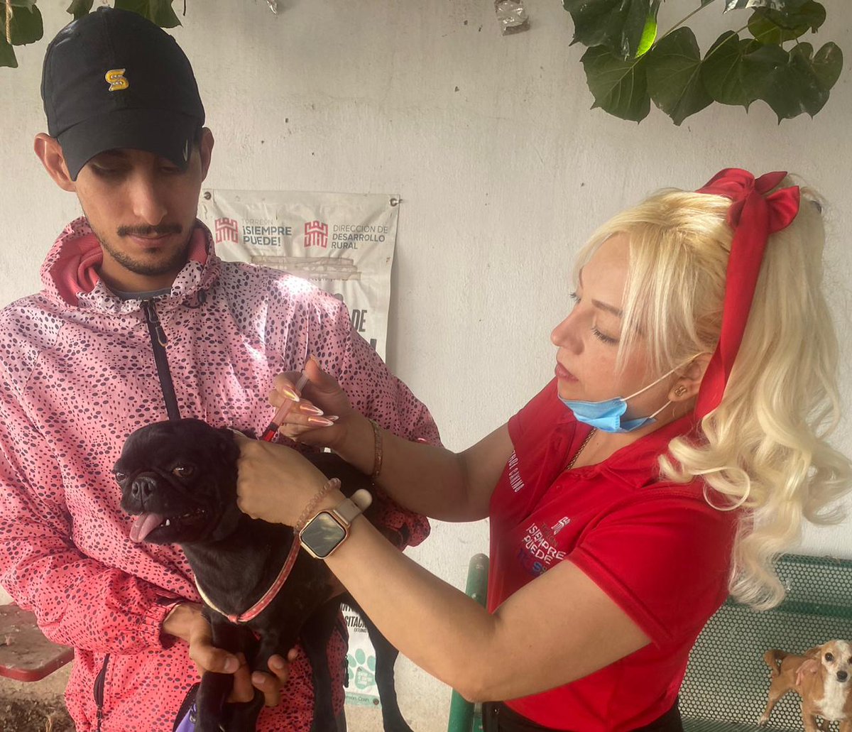 Luis Guillermo Digit tweet media