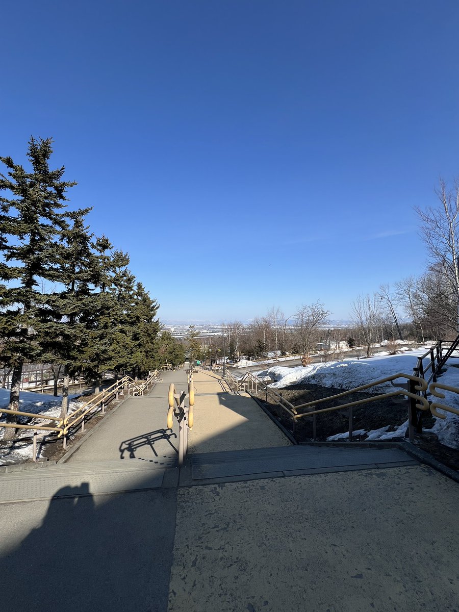 旭川市旭山動物園［公式］ tweet media