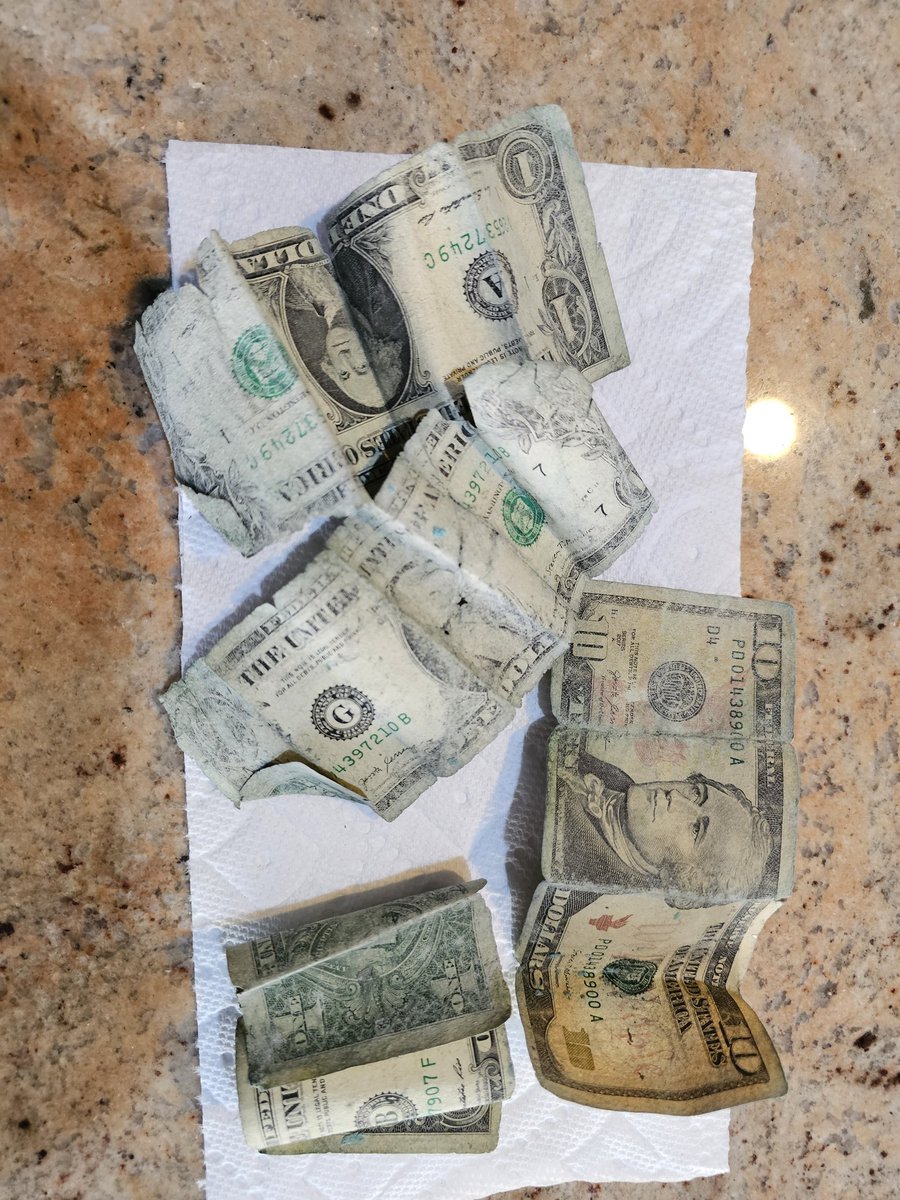 SSUSAJoe's tweet image. Hidden treasure found in the bottom of my handheld water bottle. #runners emergency cash stash I forgot about.