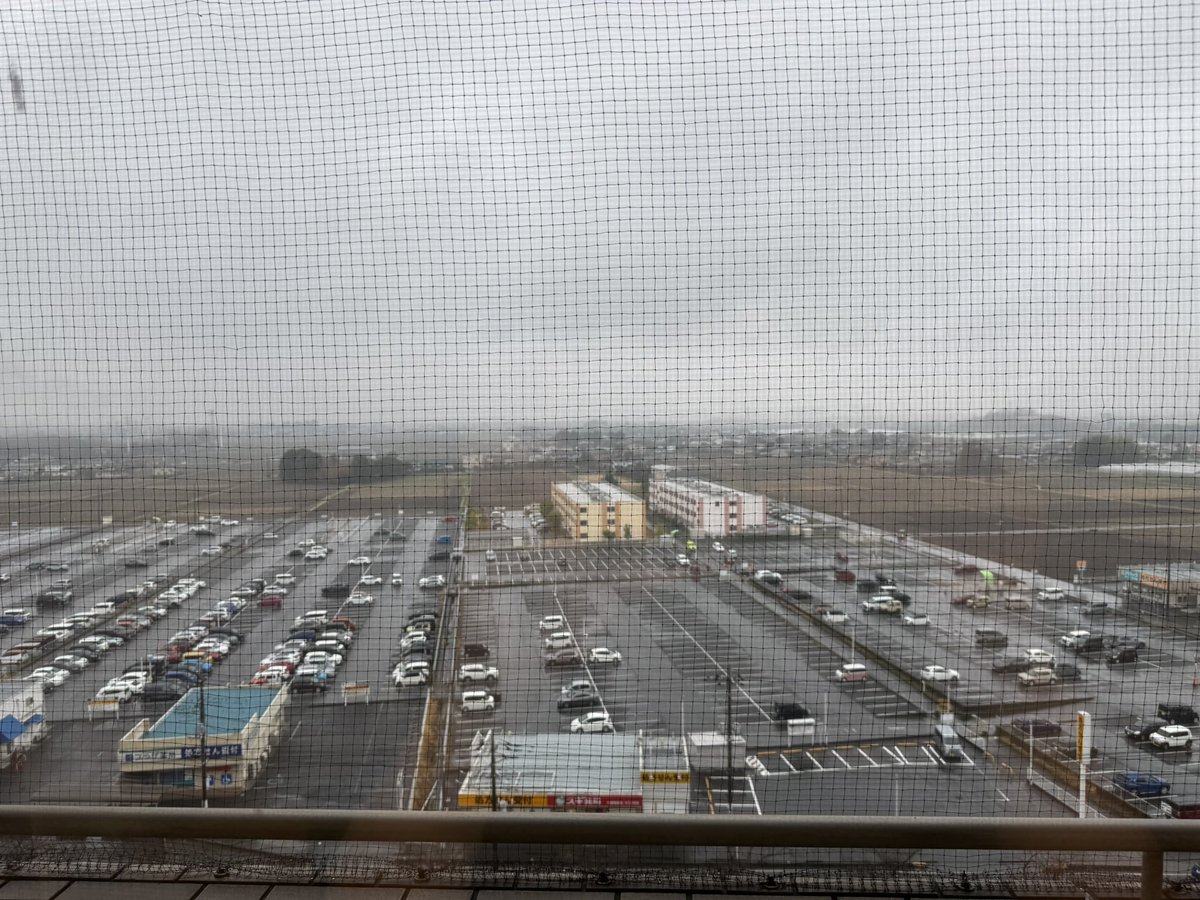 シン・達兄 tweet media