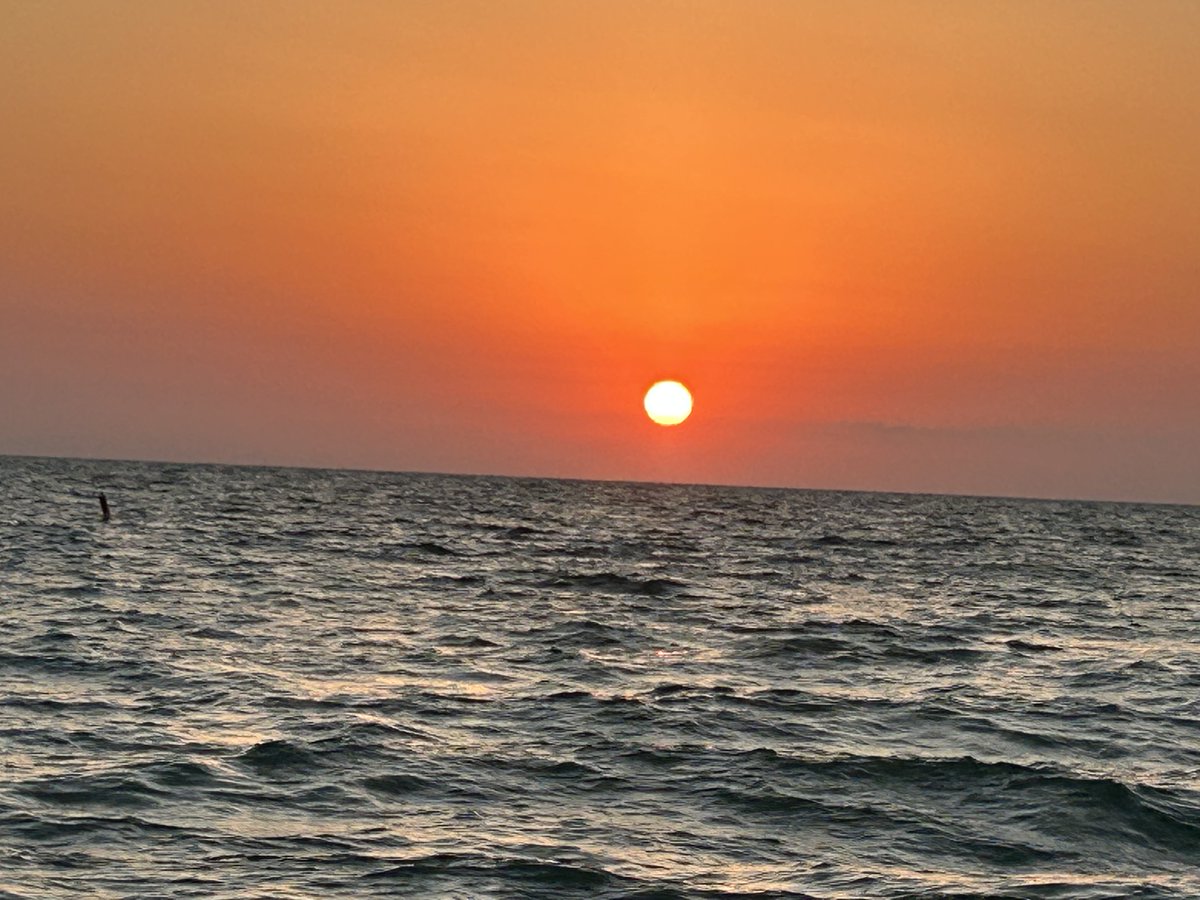 Coach Tim Haak tweet media