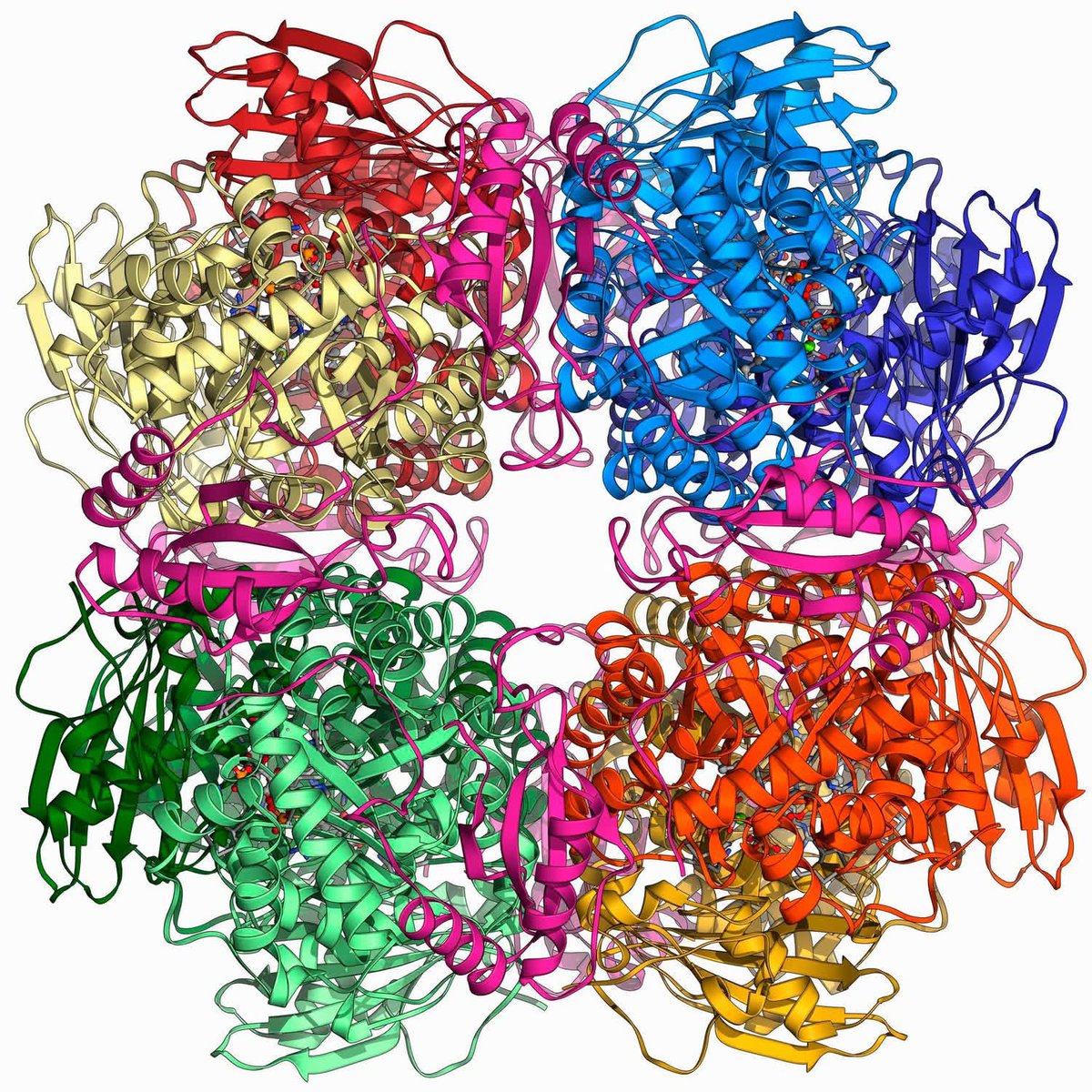 Dr. Doug Corrigan tweet media