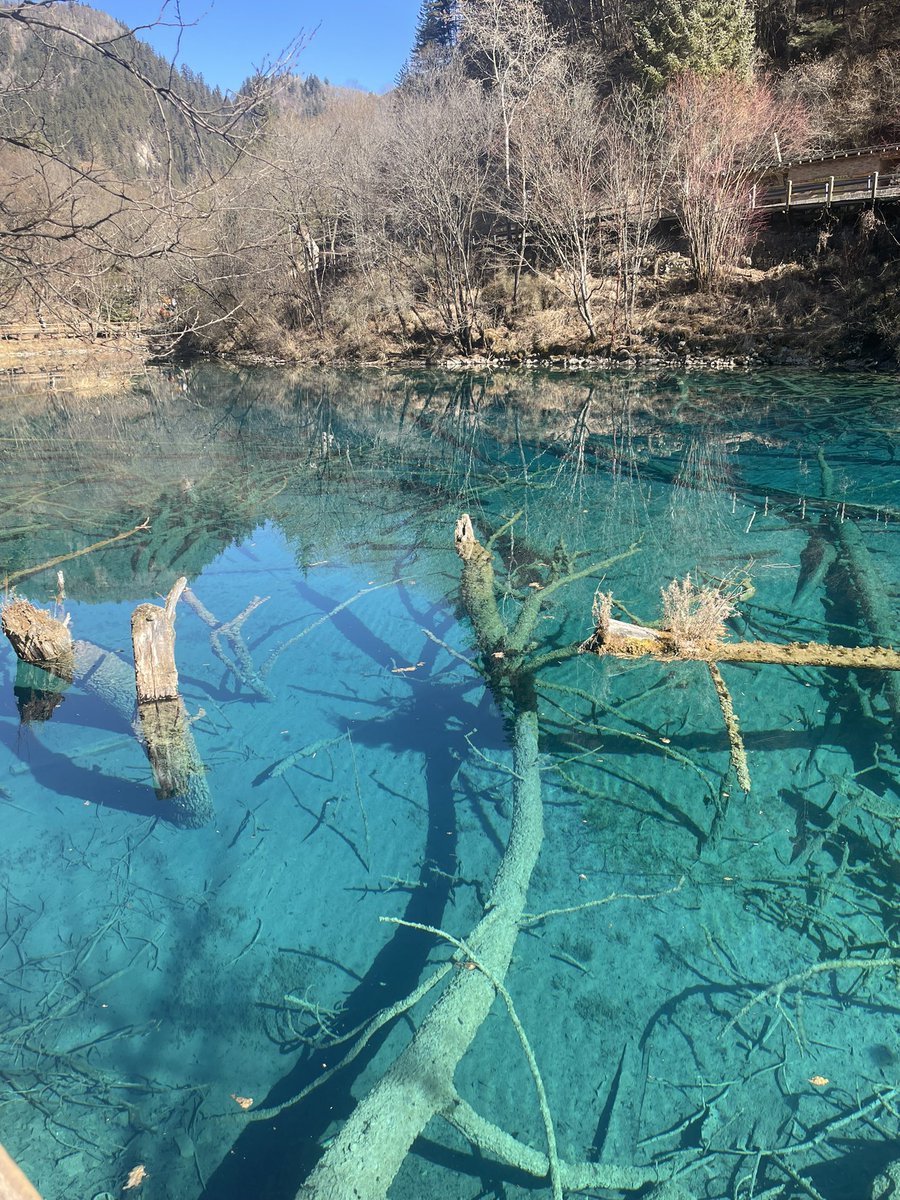 DADUE-zy tweet media