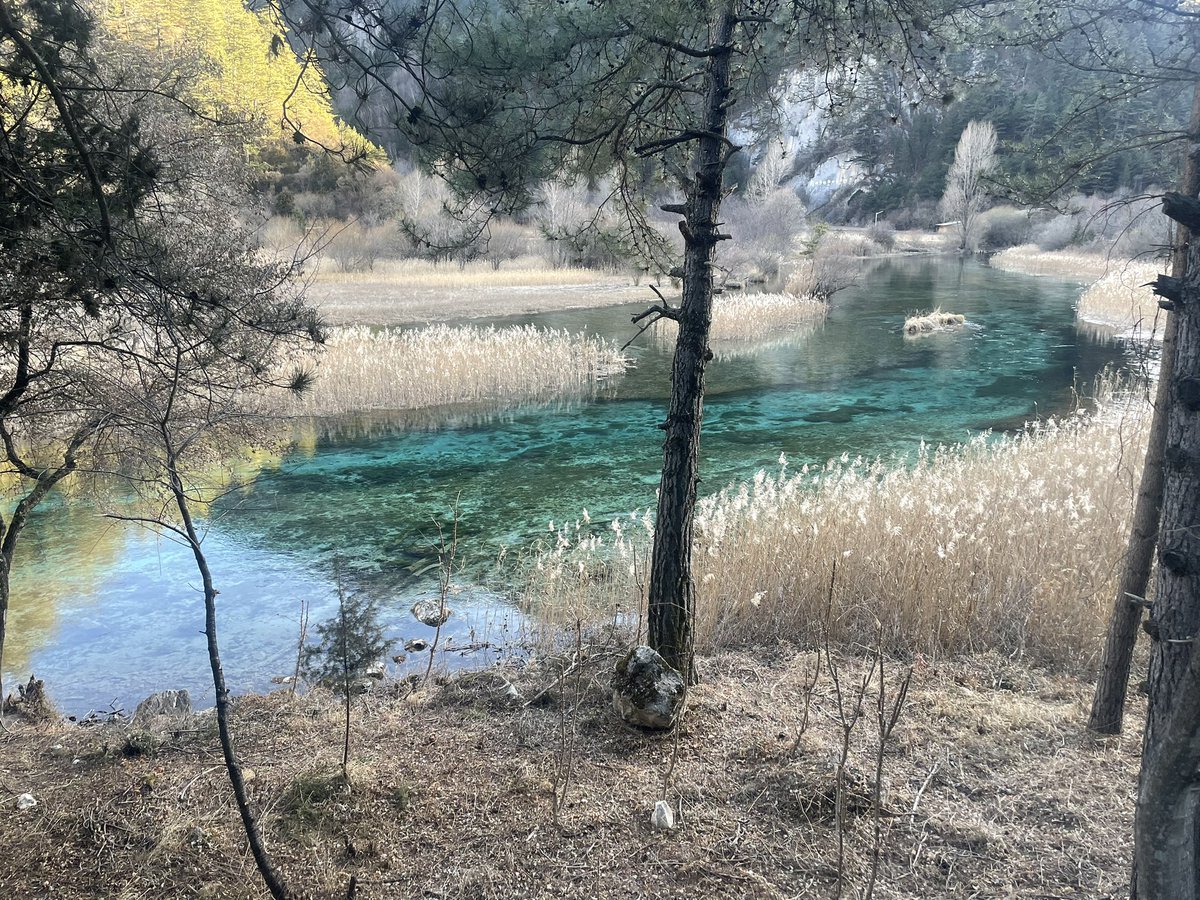 DADUE-zy tweet media