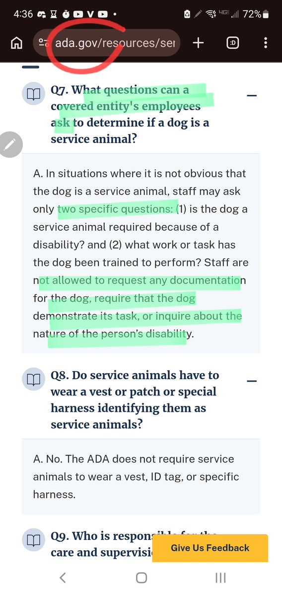 lucky cluckers @ handcrafted artisanal nope 🐀 tweet media