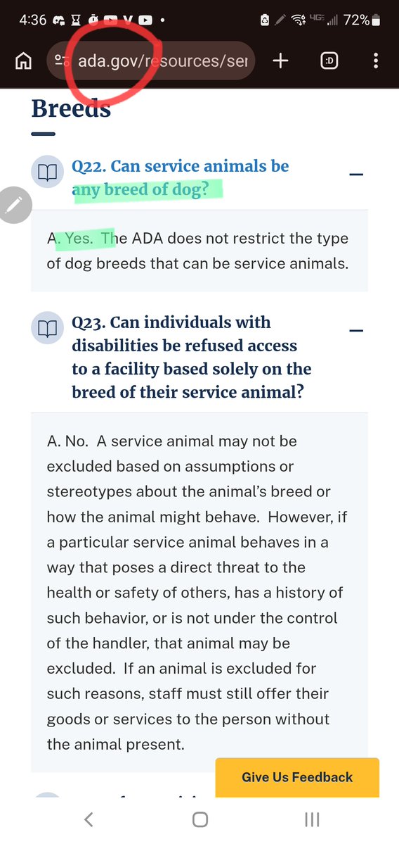 lucky cluckers @ handcrafted artisanal nope 🐀 tweet media