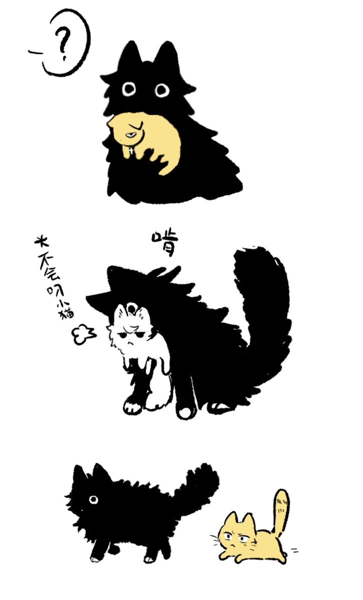 焦糖🍮(低浮上) tweet media