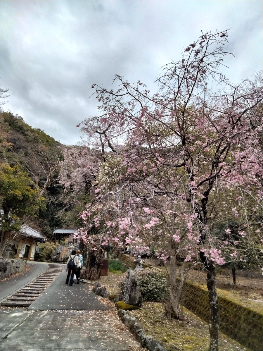 ょっぁ゛🍀🐈‍⬛ྀི💌 tweet media