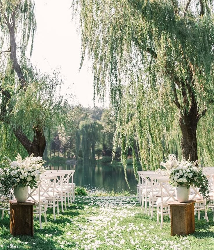 lieke🧸 tweet media