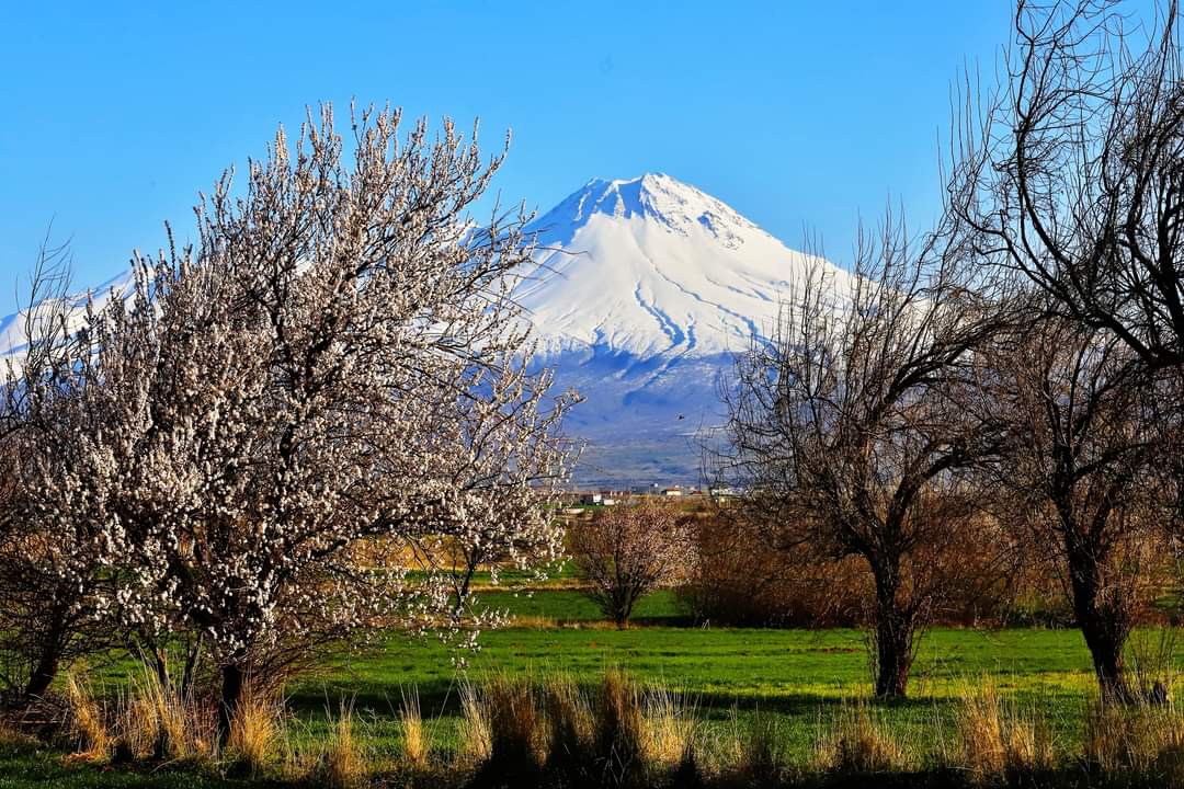 Aksaray Belediyesi 🇹🇷 tweet media