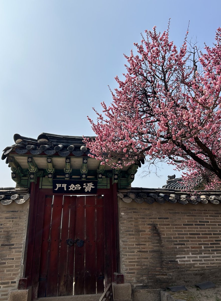 레렝/れれん tweet media