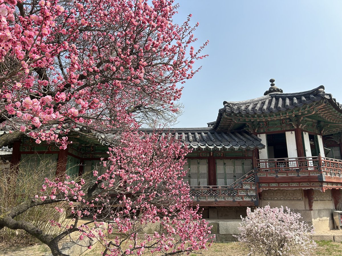 레렝/れれん tweet media