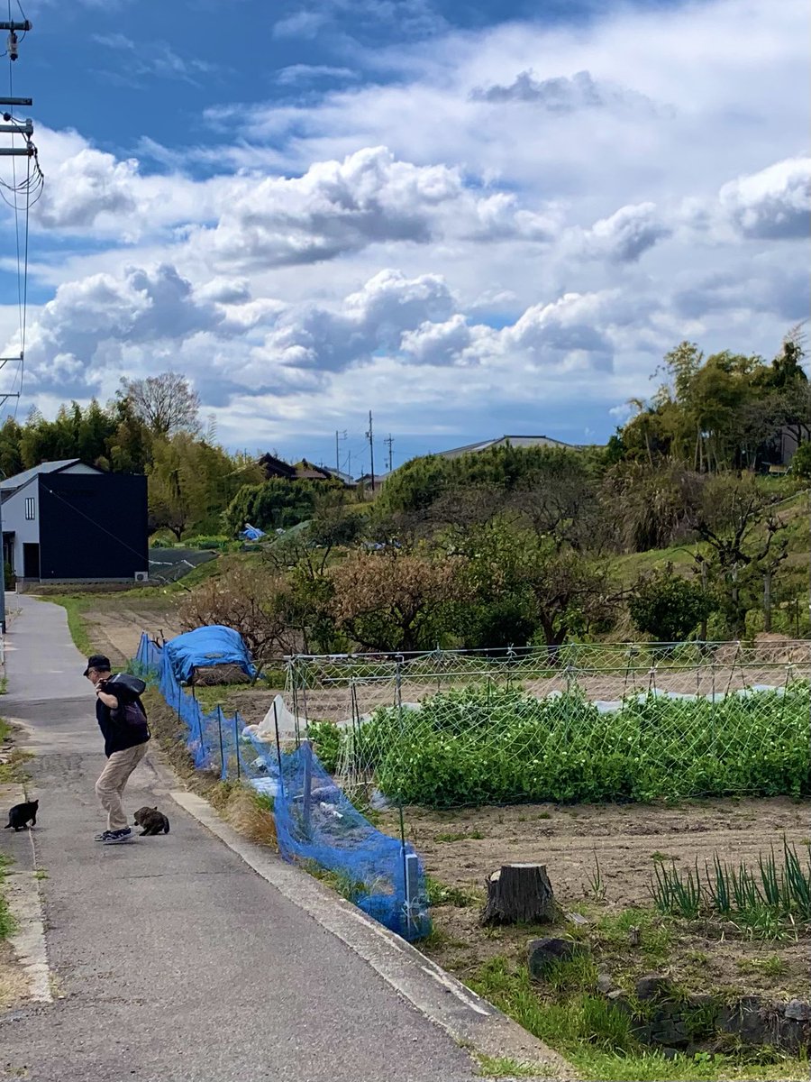 まっちゃん tweet media