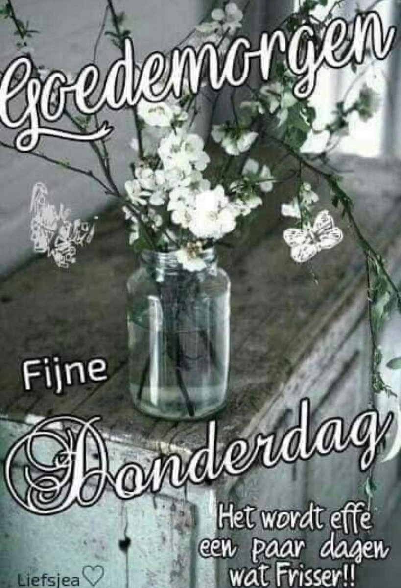 Jolanda hazenfluisteraar🐇 tweet media