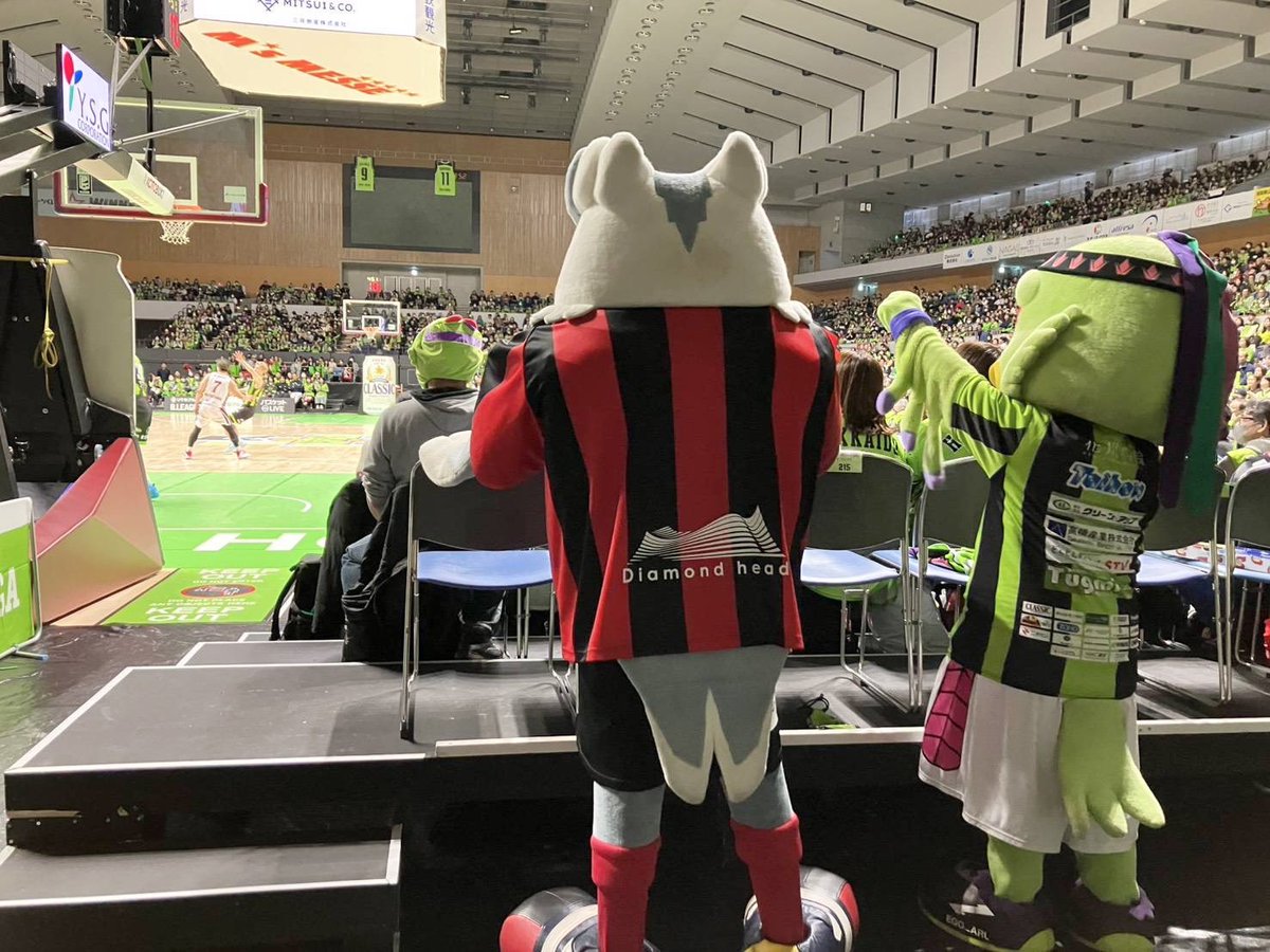 ドーレくん☆ tweet media