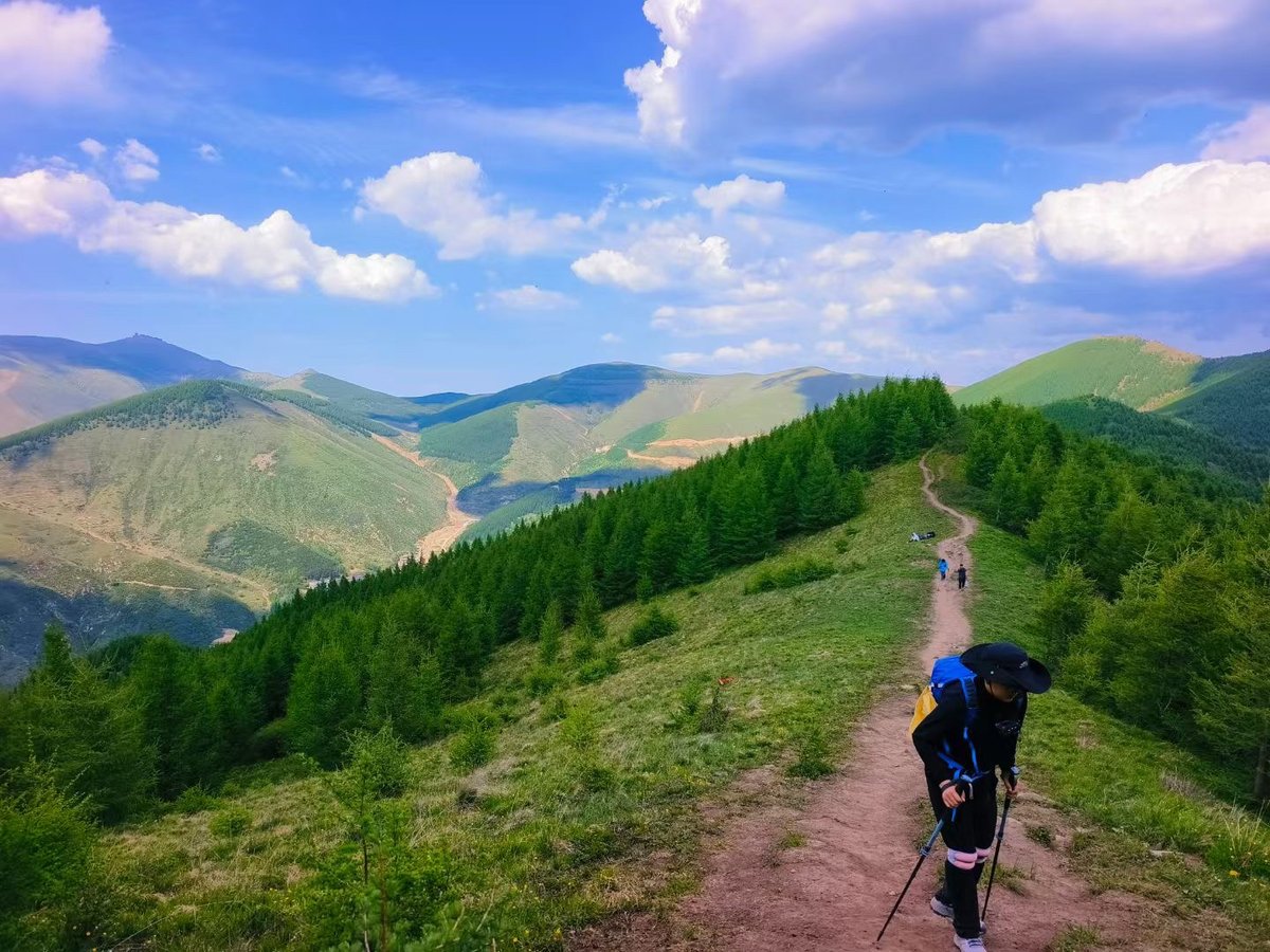 Crossbow Sanchez tweet media