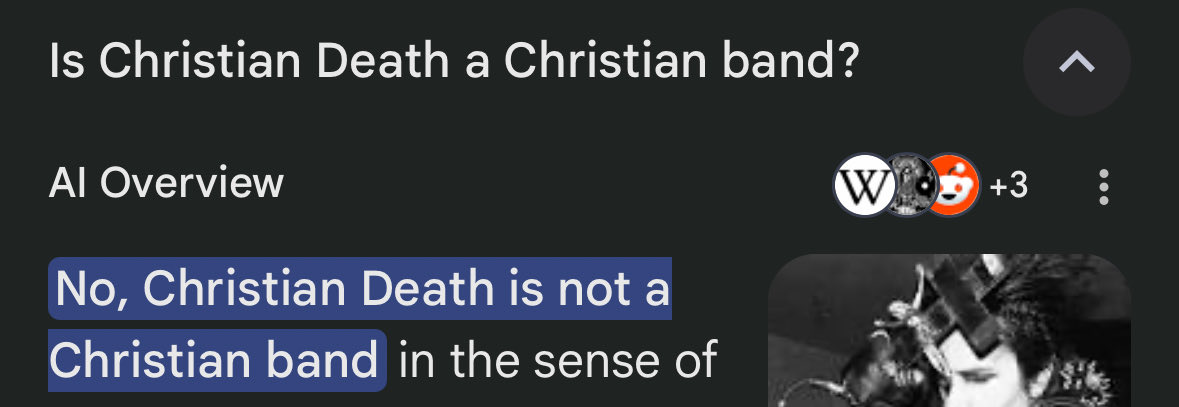 happy otter tweet media