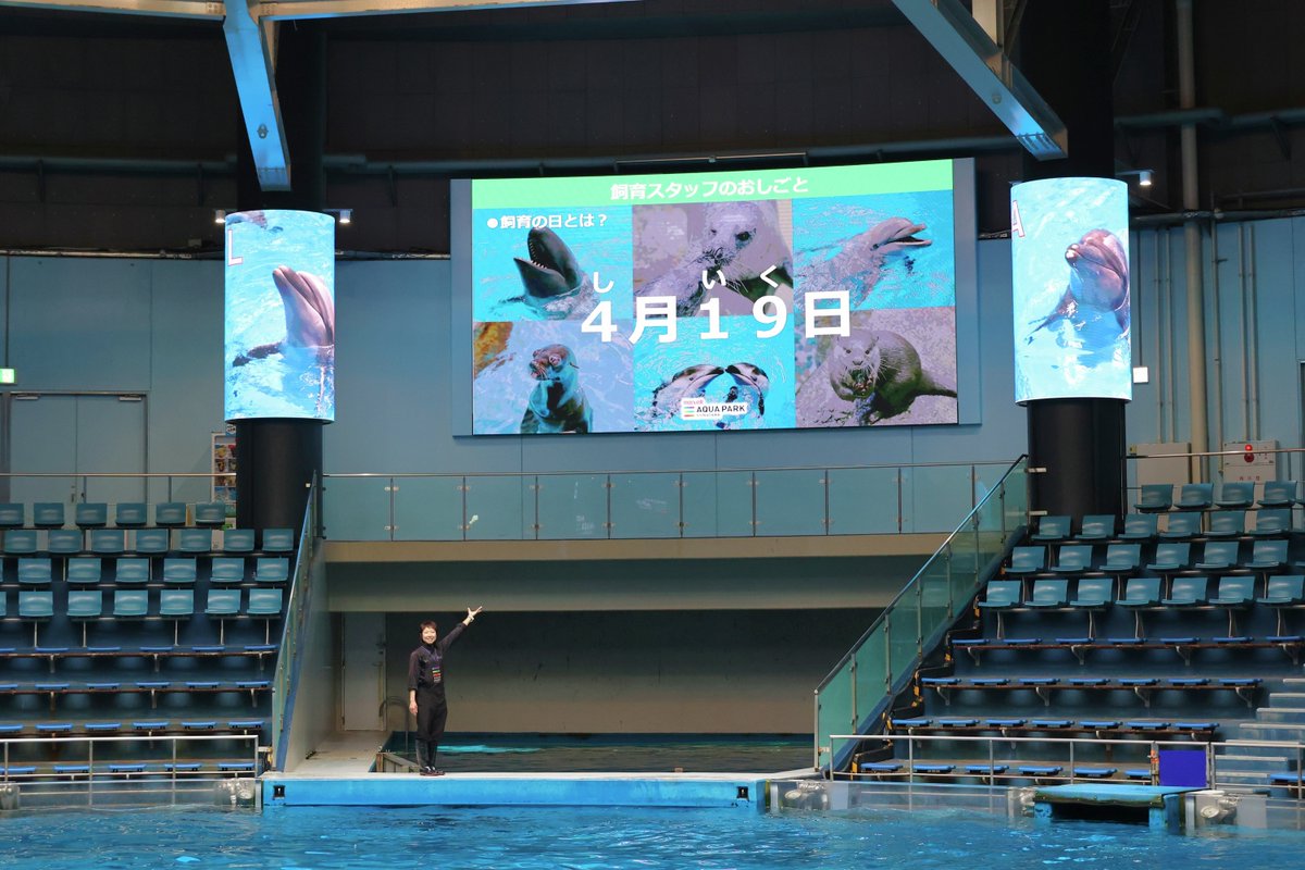 マクセル アクアパーク品川公式 tweet media