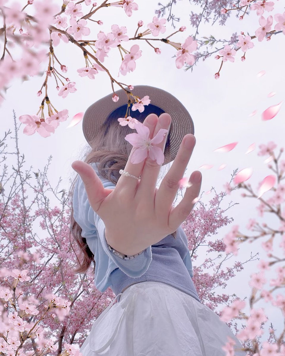 zhao_coast's tweet photo. 樱花树下站谁都美！ https://t.co/vTlsltKZX9