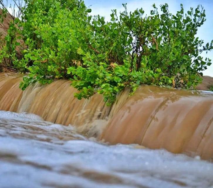 أ..أم͠ ؏ـڵې✨ tweet media