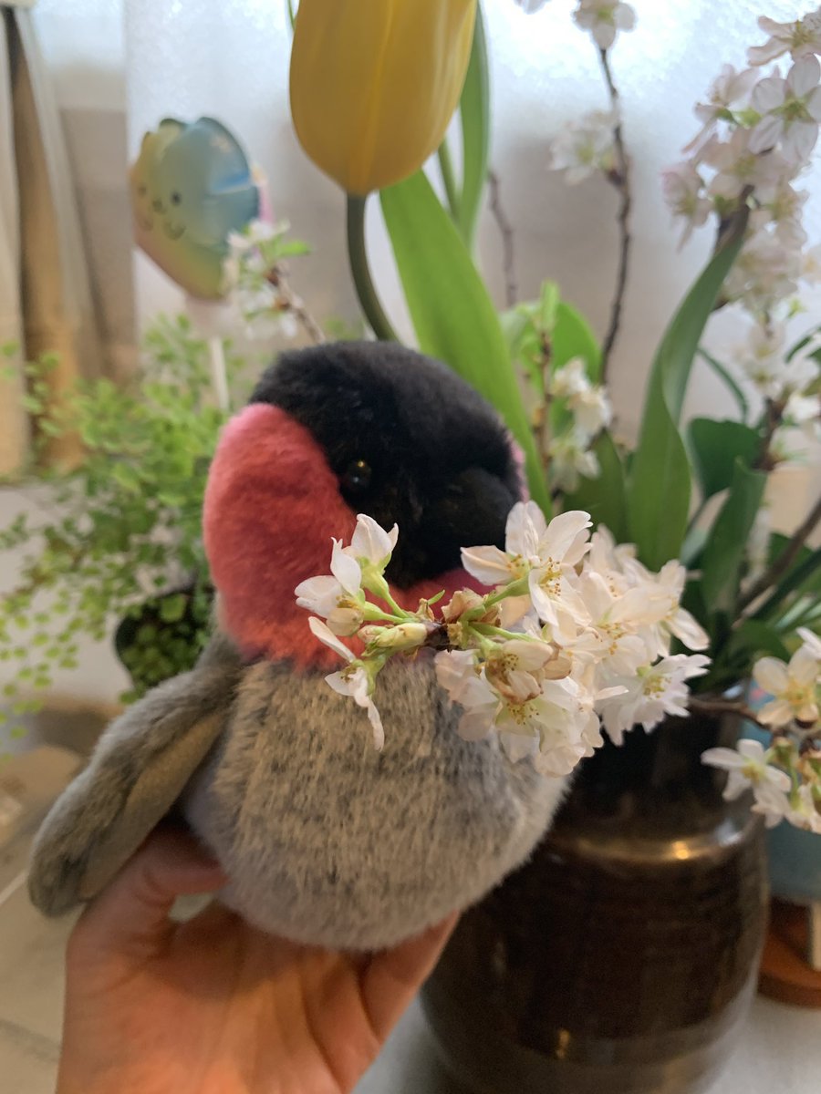 もふもふとり工房 tweet media