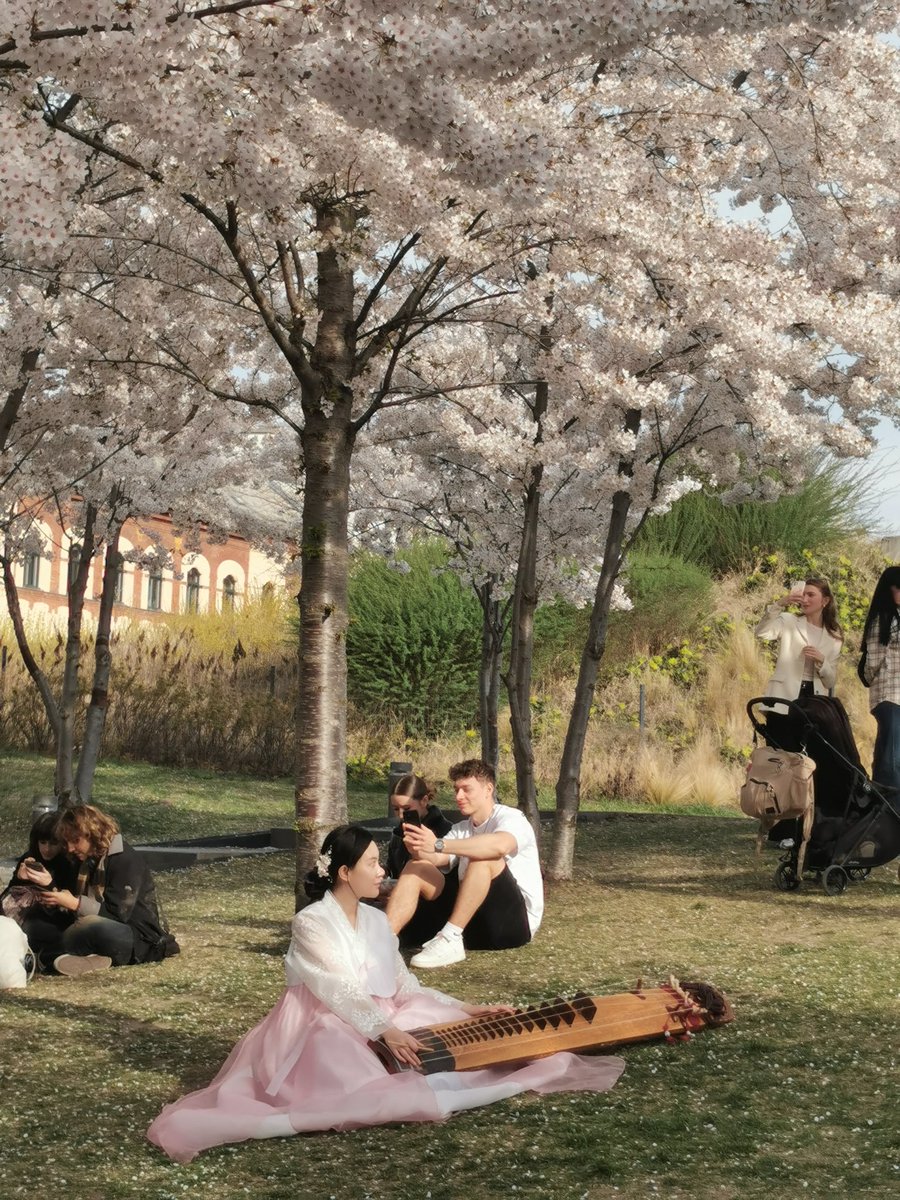 Polyak E tweet media