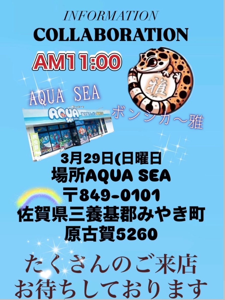 ボンシカ〜雅〜 tweet media