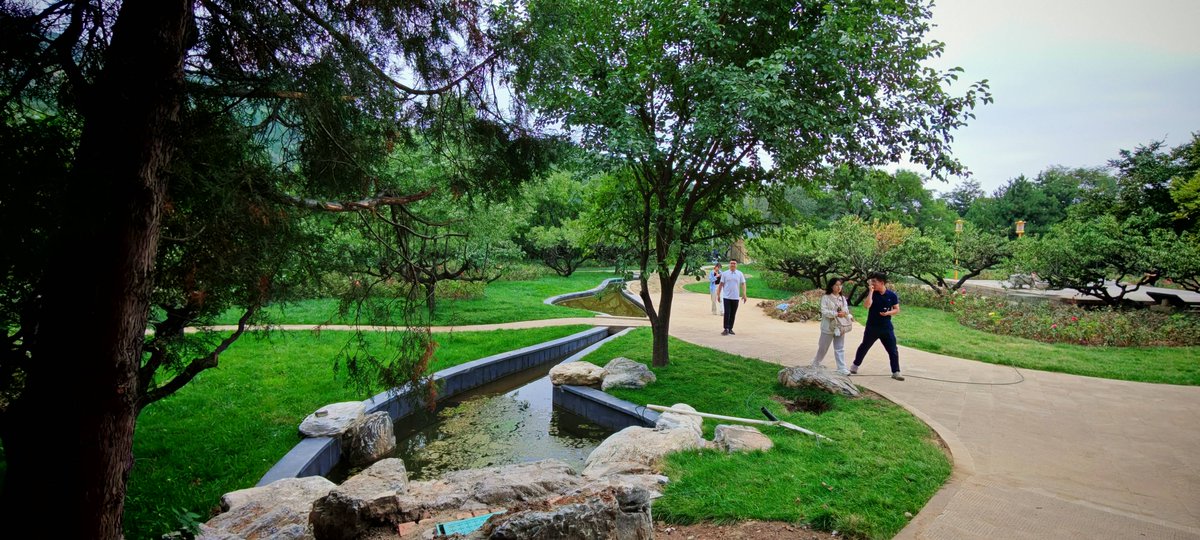 Matthew Lee tweet media