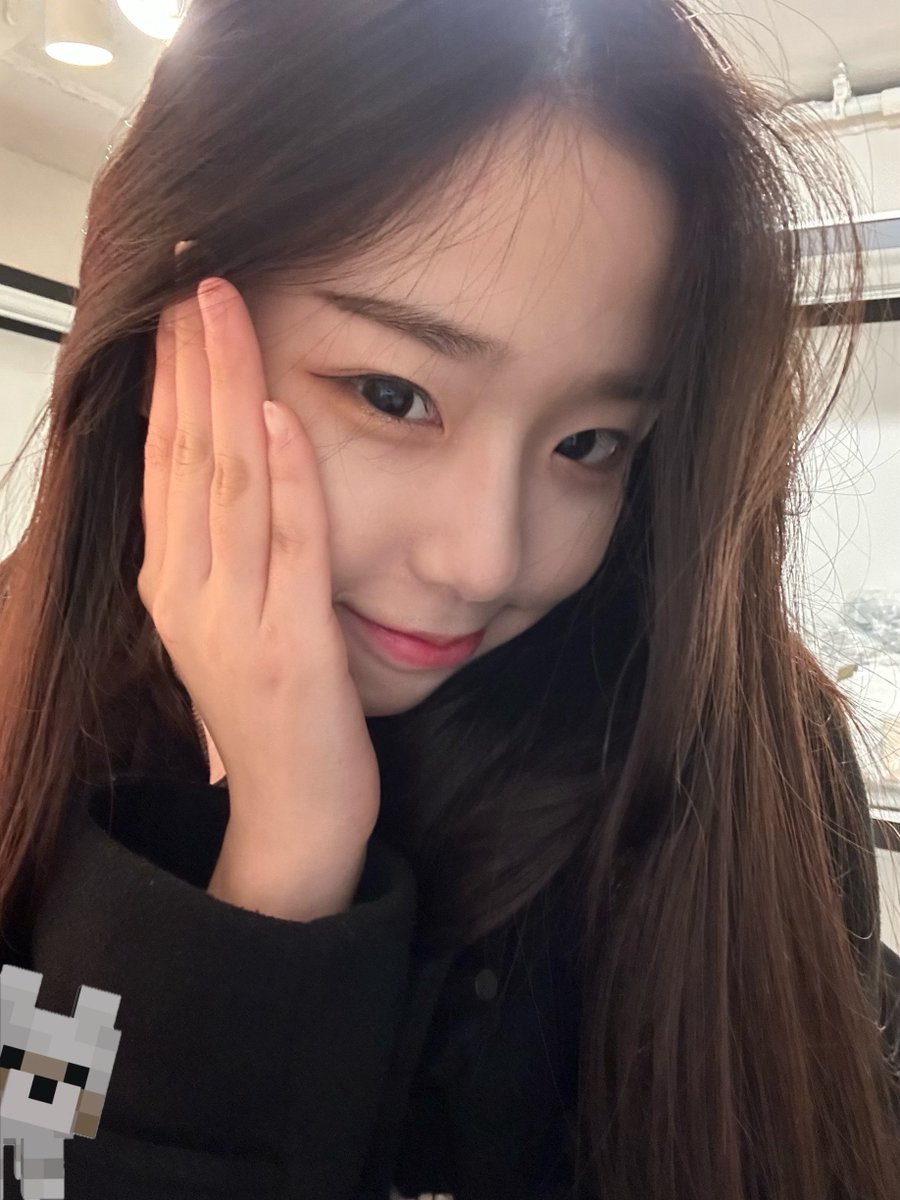 점박이 tweet media