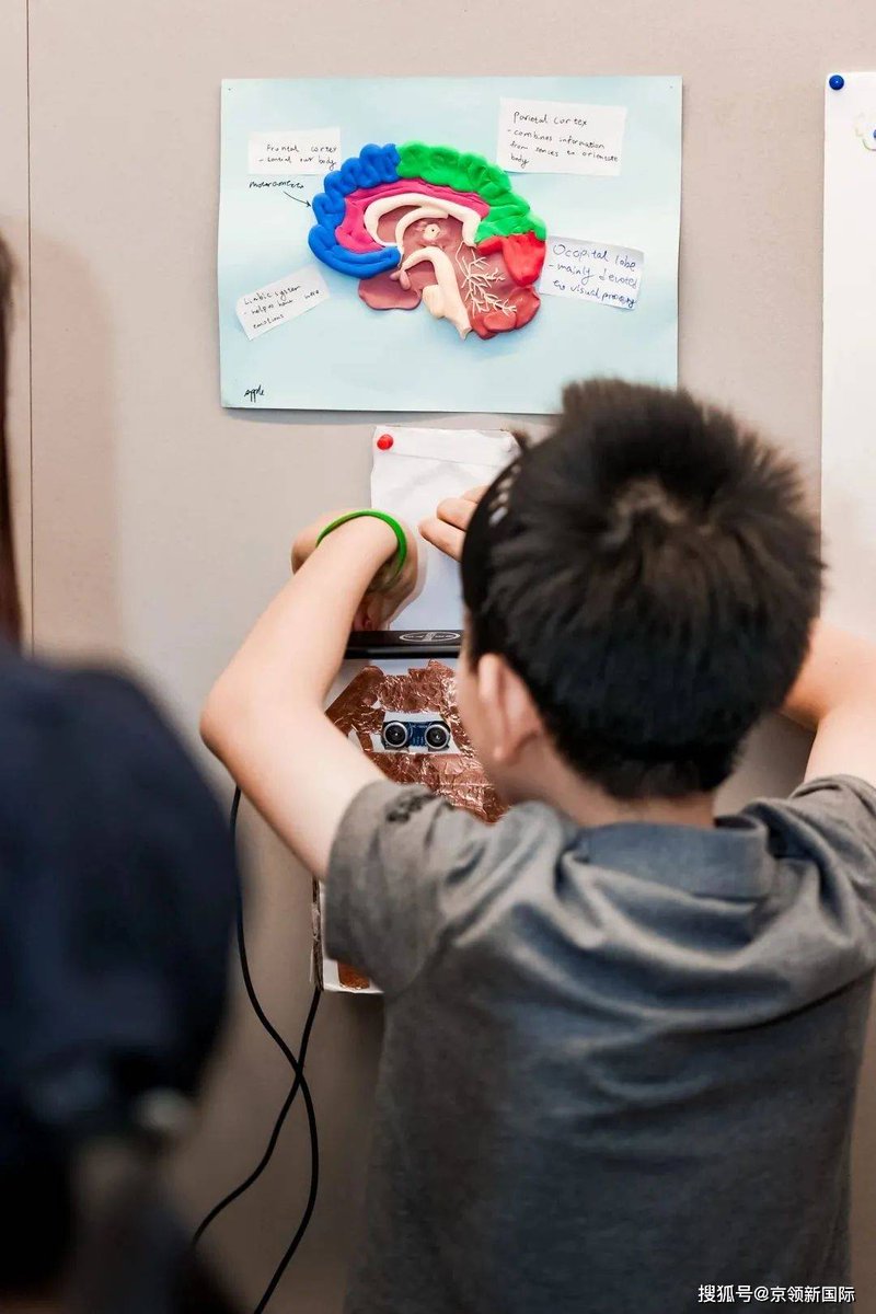 James Turner tweet media