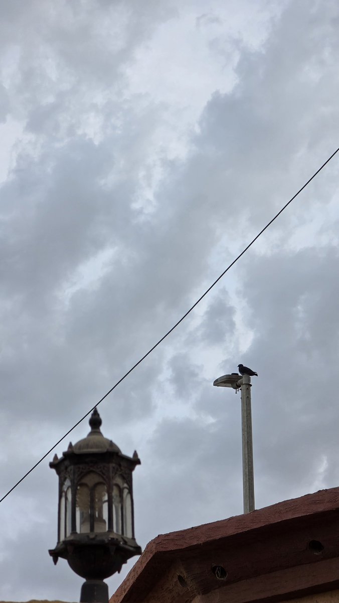 فﭑطمۿ ﭑلحربي🍃 tweet media