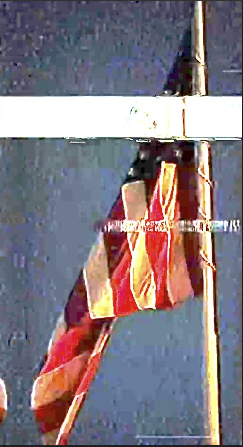 Asuka Groyper 🚬 tweet media