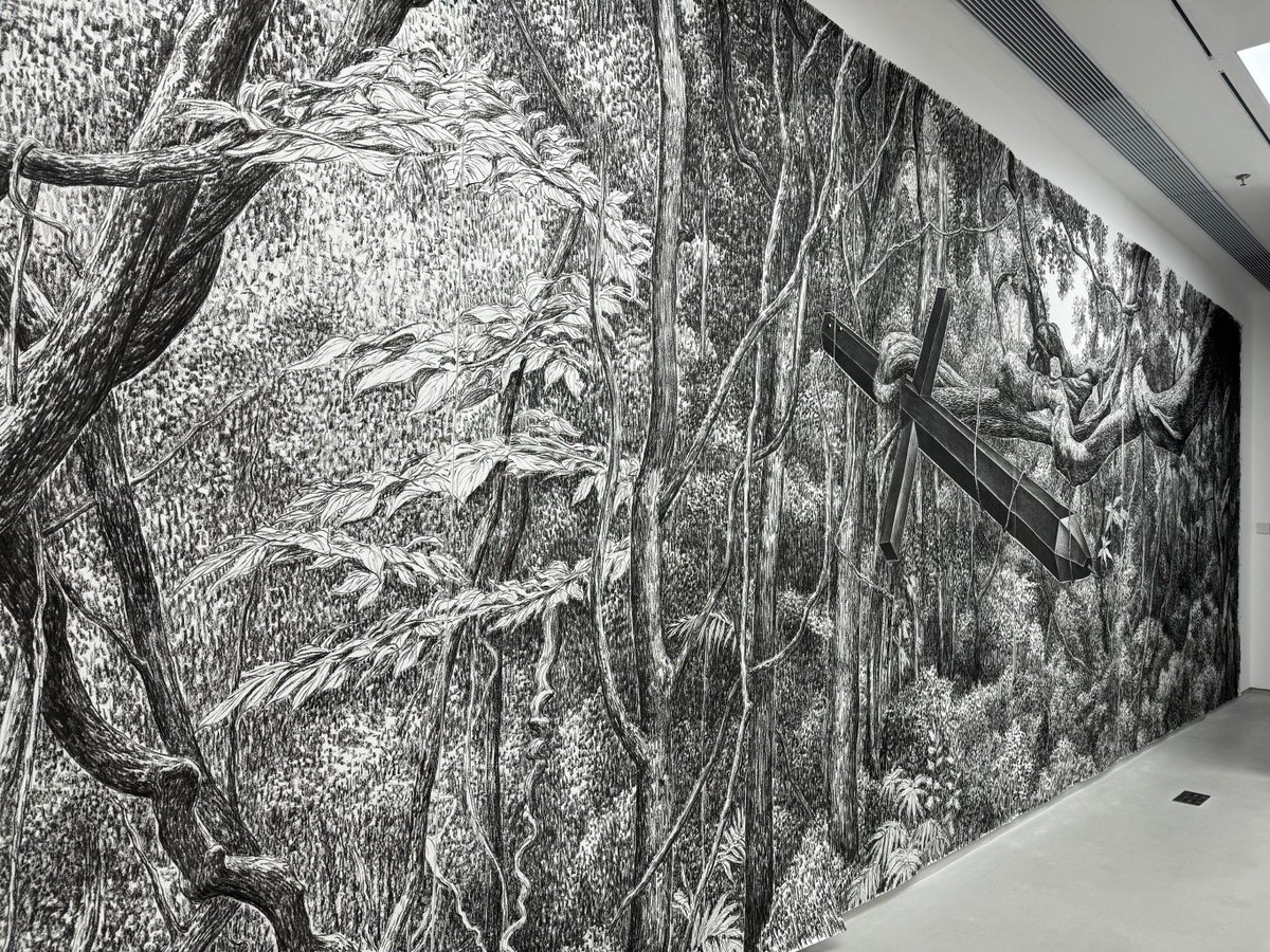 ismaila k cham tweet media