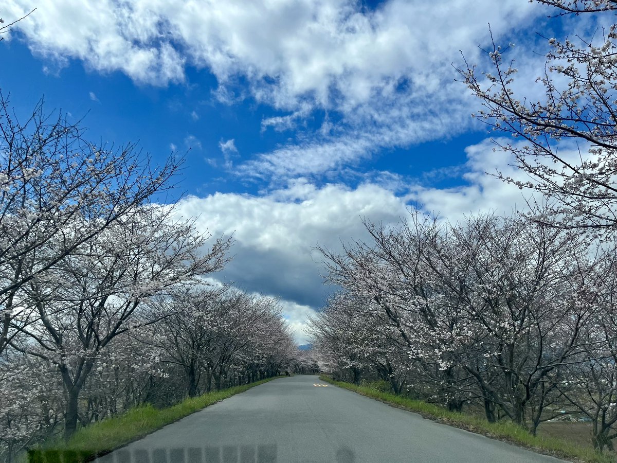 とぅん tweet media