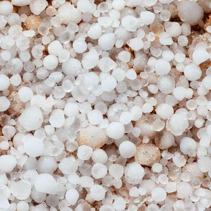 دوشا الشمري tweet media