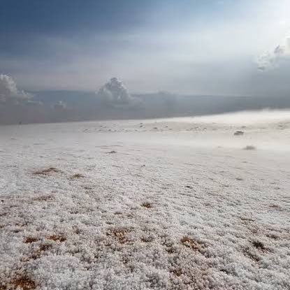 دوشا الشمري tweet media