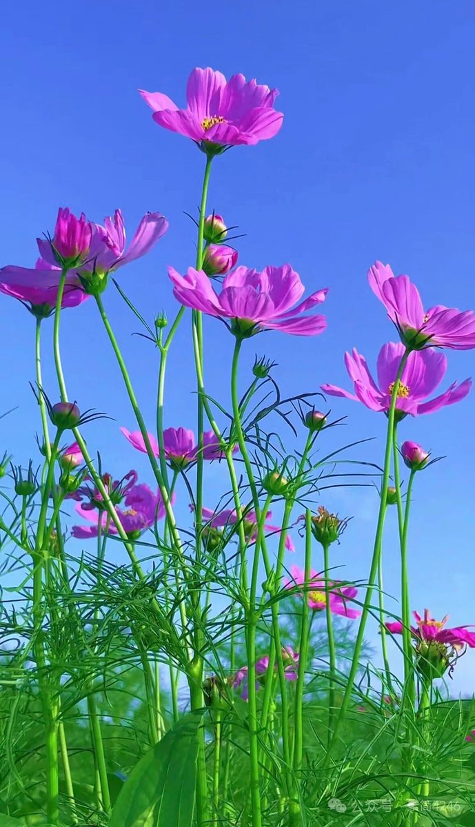 Owen Xiao(冲10000，加油) tweet media