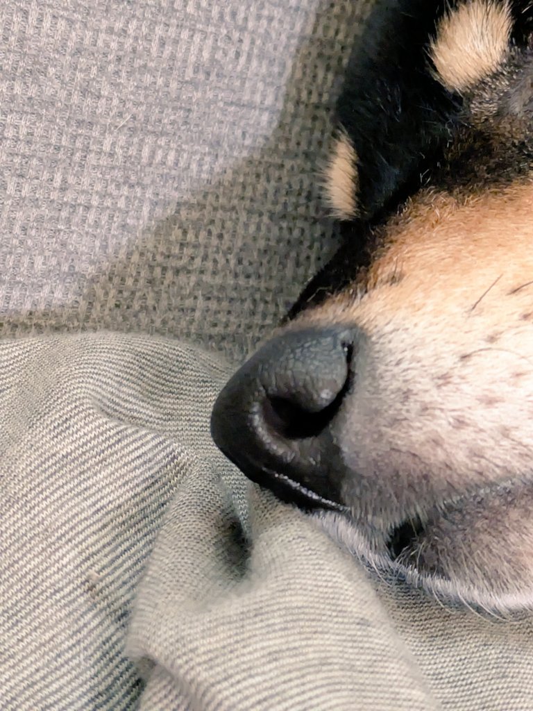 ムチムチ子 tweet media