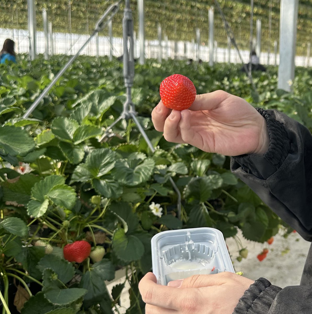 みー太郎 tweet media