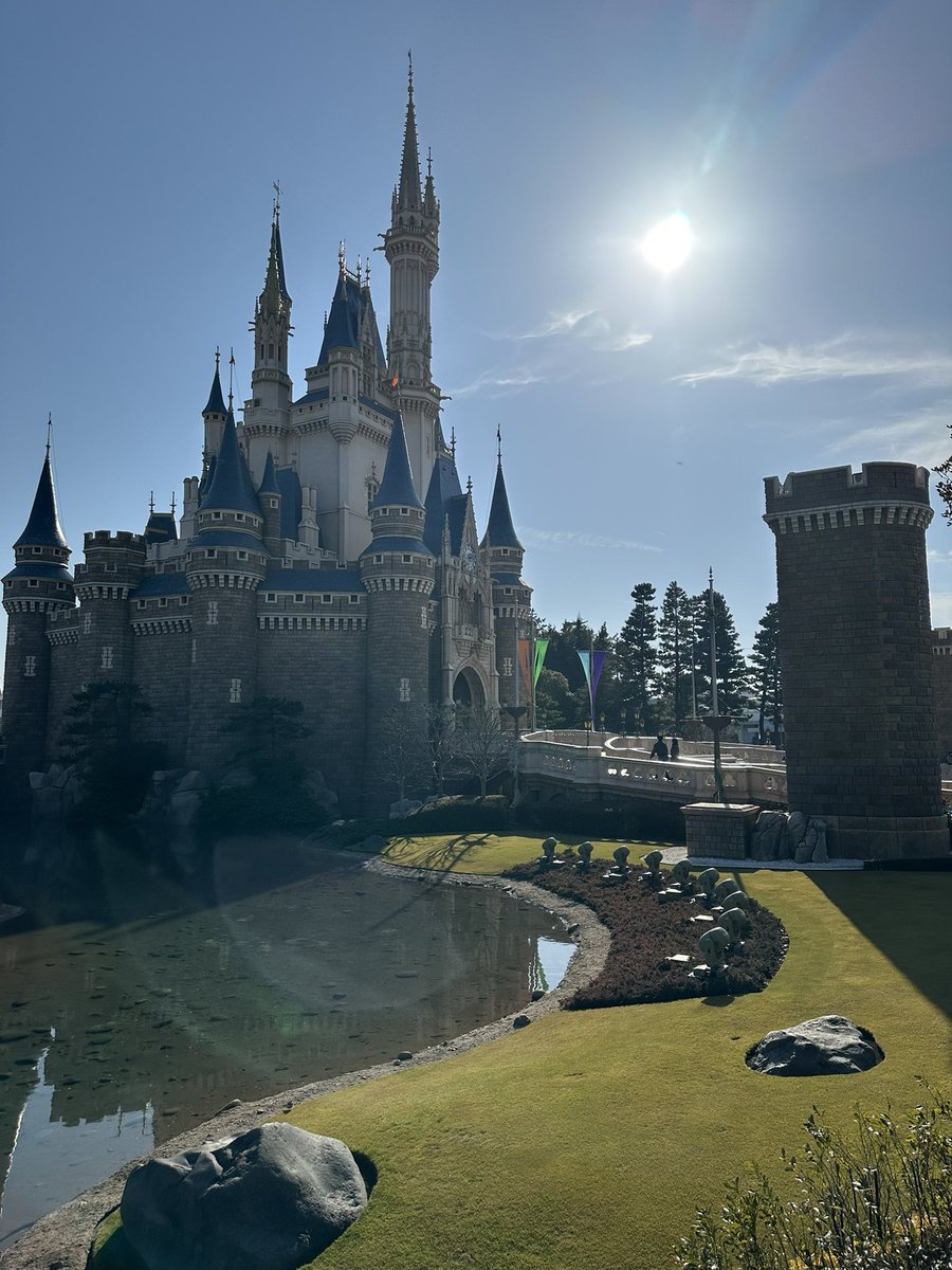 みー太郎 tweet media