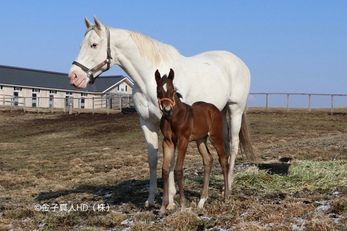 Javier I. Farache tweet media