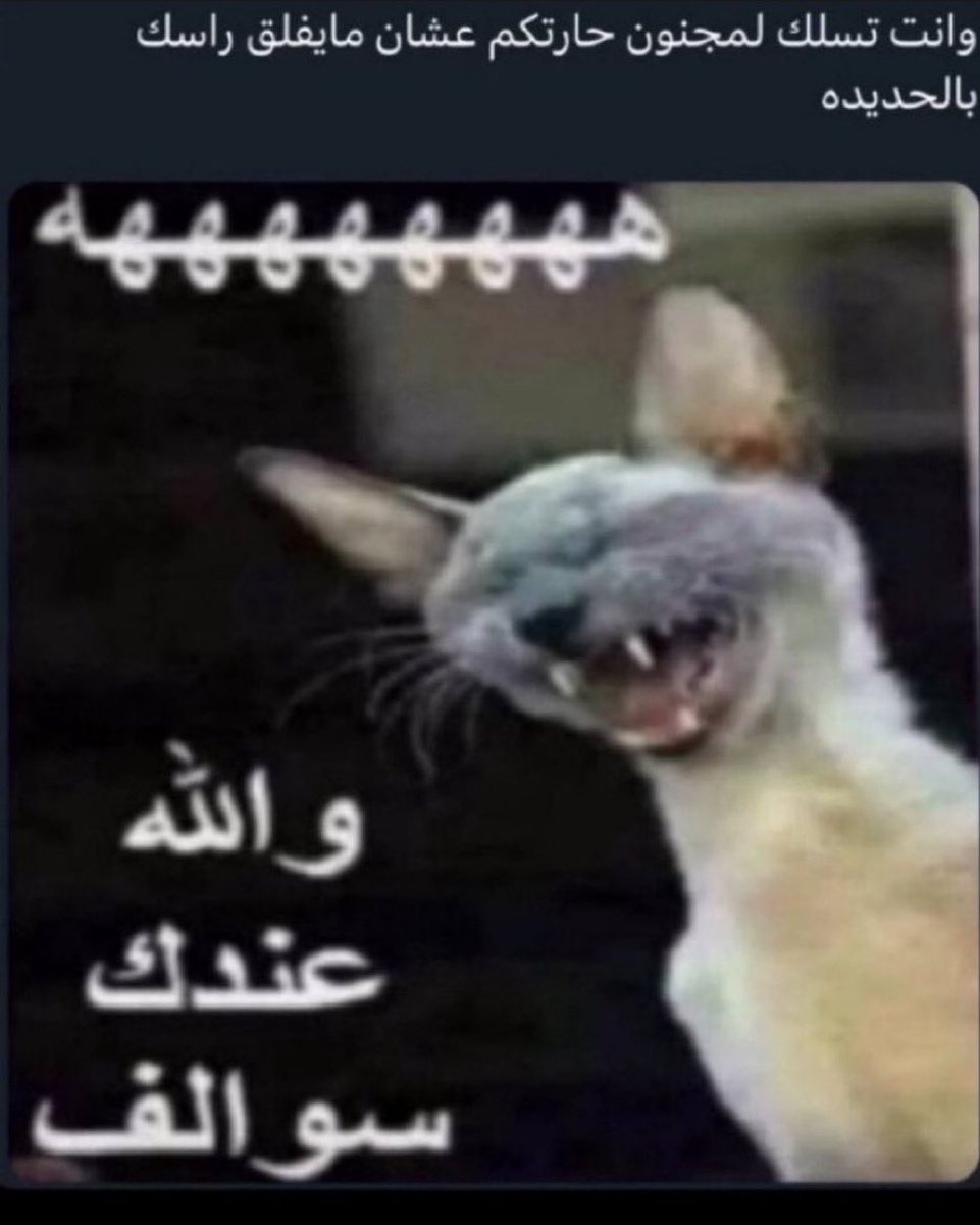 ابو اصىيل| الاحتياطي tweet media