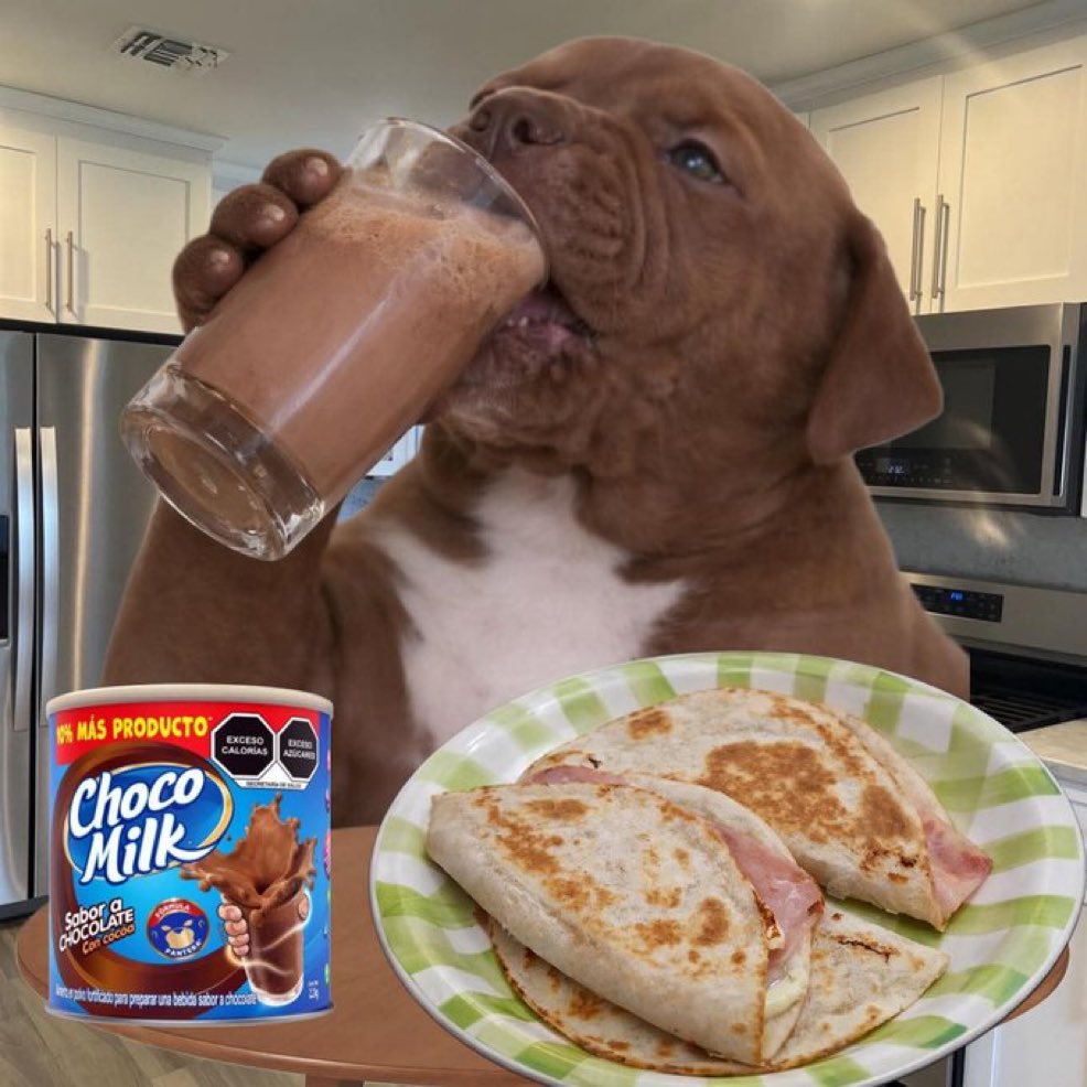 Salvador Iglesias Jr tweet media