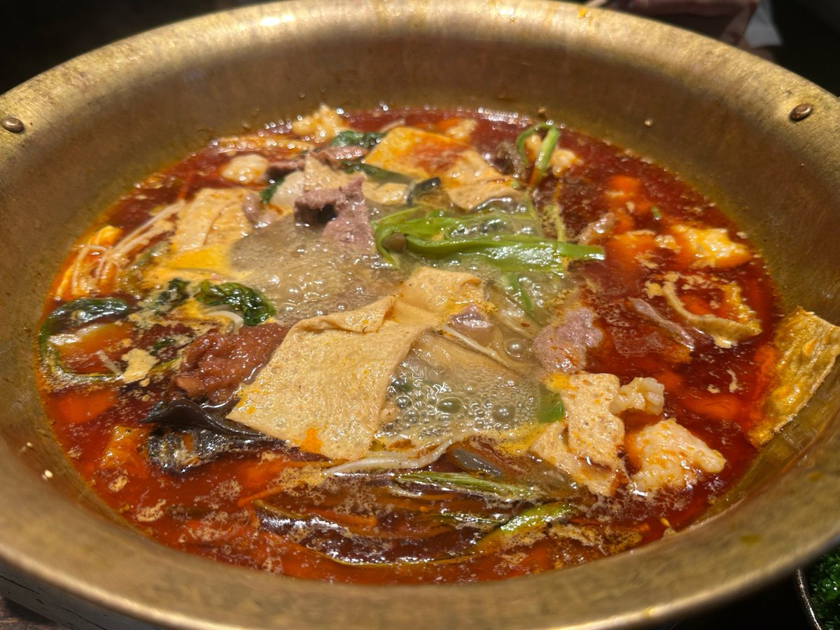 carolina figueiredo tweet media