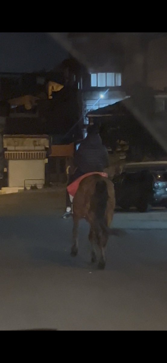 shitnews tweet media