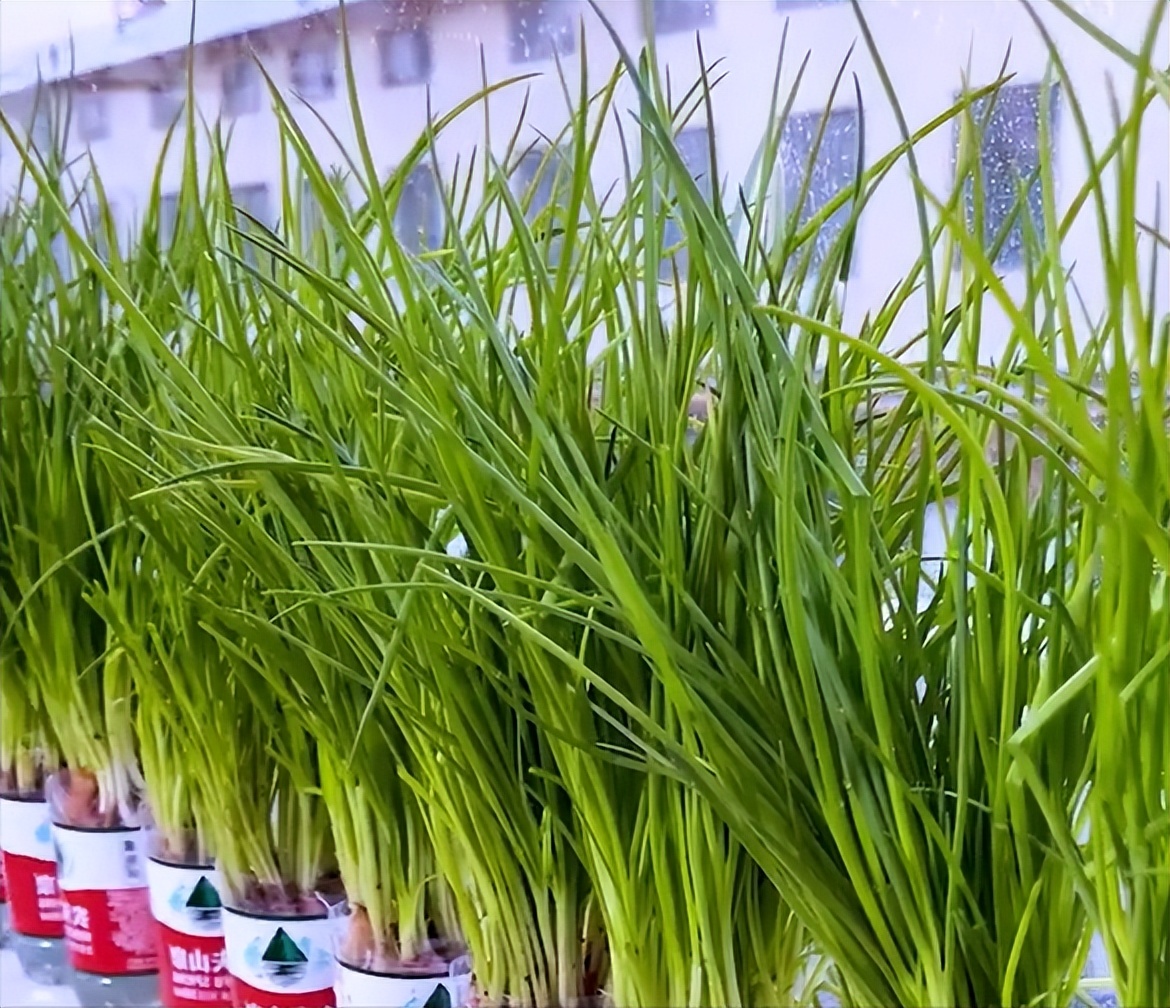 michael  alonso tweet media