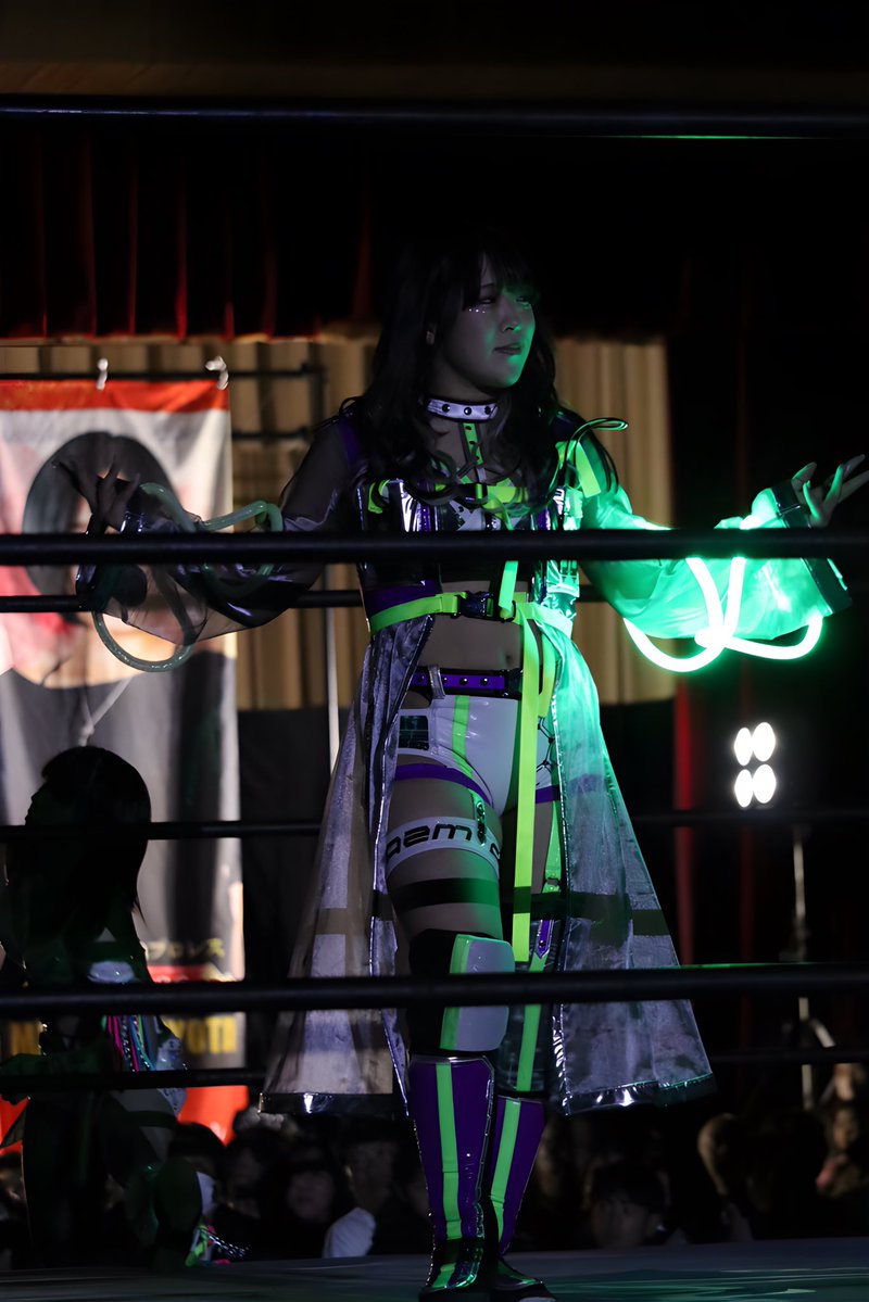 😺 💣 tweet media