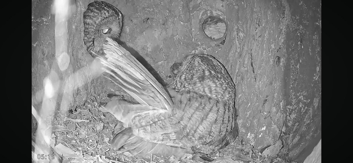 추ㅣ운 tweet media