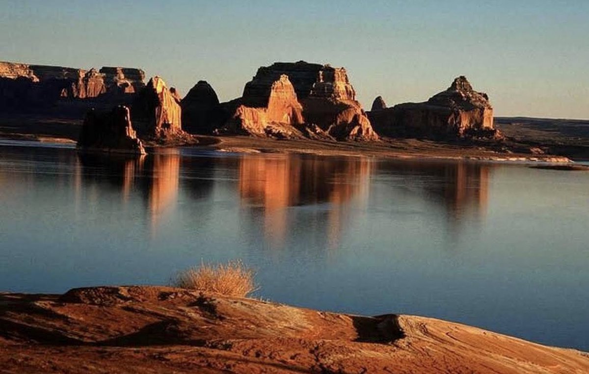 crypt licker tweet media